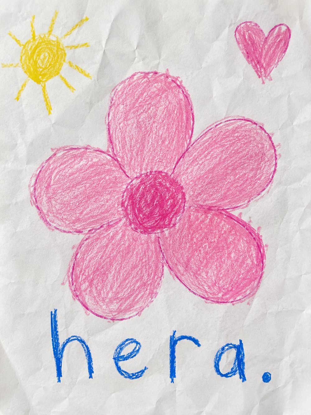 A flor da hera desenhada a giz de cera